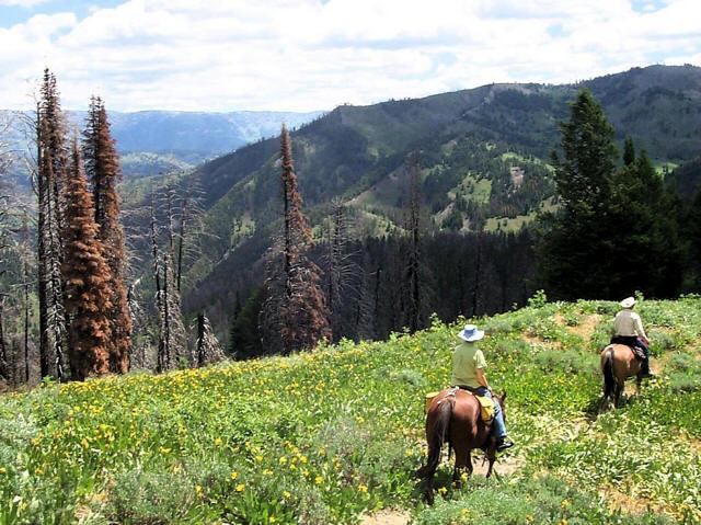 Album Riding the Salt River Range Salt River Range, Wyoming