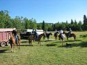 Horse Rides - 26 July 2007