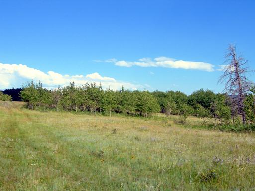 P000852bM