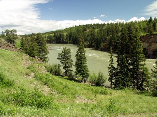 P000929nM