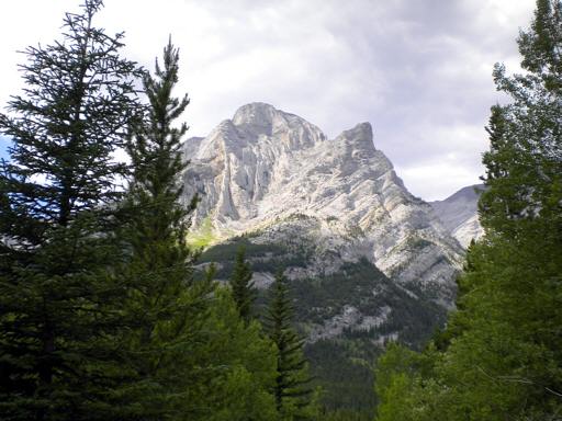P001345zM