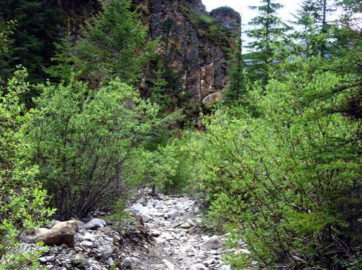P001453aM