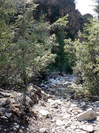 P001453dM