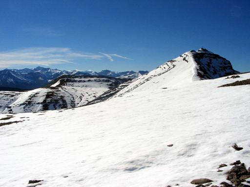 P002310nM