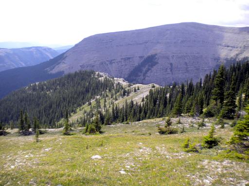 P002310qM