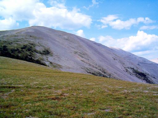 P002322bM