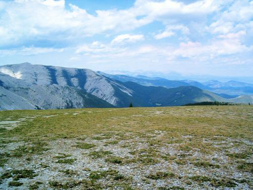 P002322fM