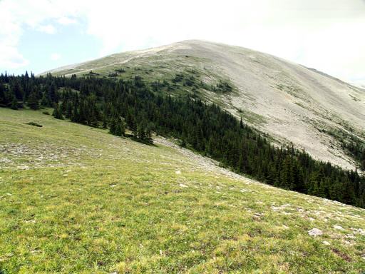 P003030dM