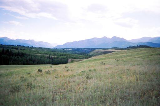 P003050aM
