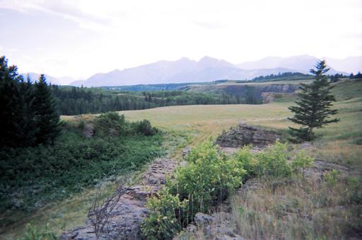 P003050bM
