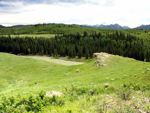 P003050fM