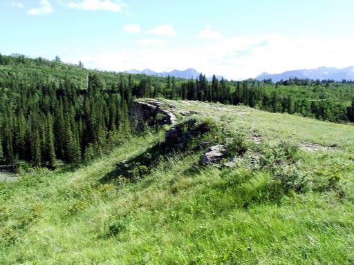 P003050uM