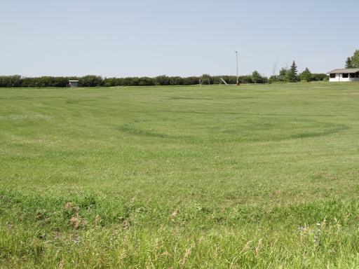 P004447lM