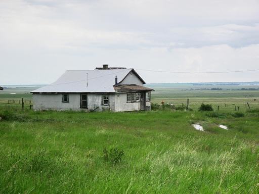 P004638zuM