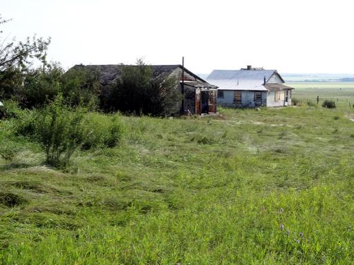 P004638zvM