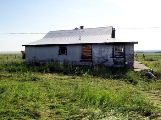 P004638zyM