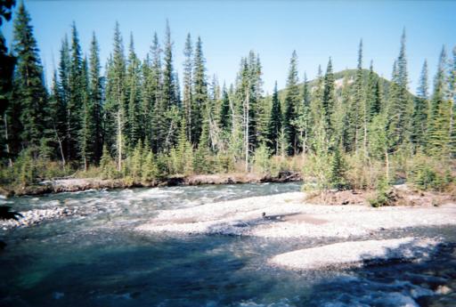 P010957gM