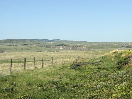 P011935dM