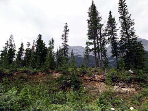 P012947aM