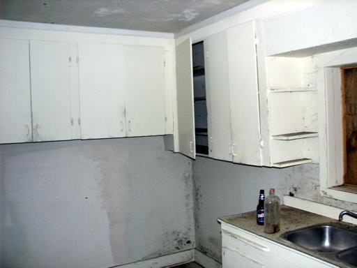 P015555pM