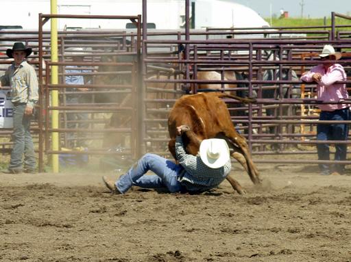 SteerWrestling_gM