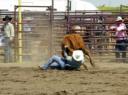 SteerWrestling_gS