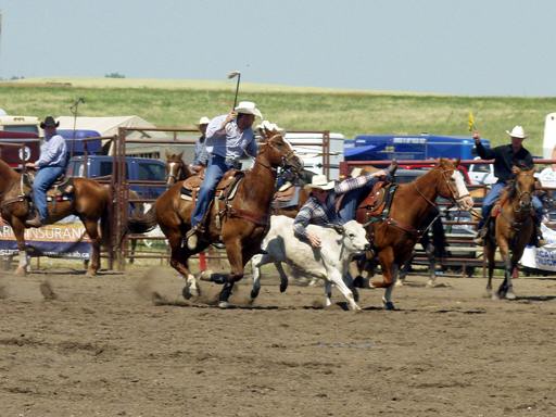 Steer Wrestling_hM