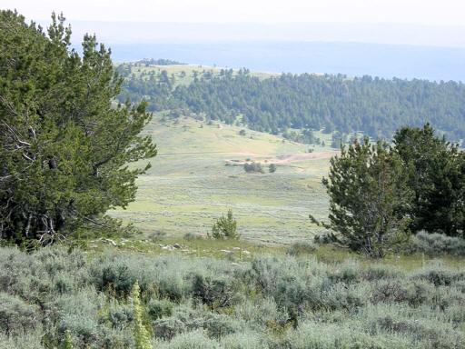 Brokenback_Mountain_Summit_cM