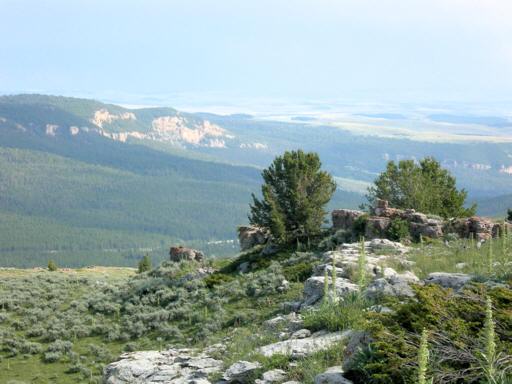 Brokenback_Mountain_Summit_dM