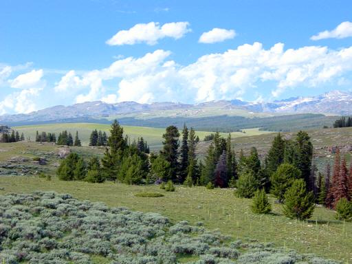 Brokenback_Mountain_Summit_mM