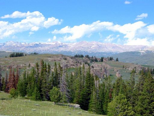 Brokenback_Mountain_Summit_nM