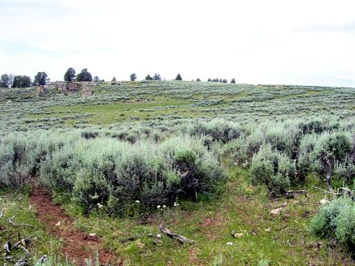 Brokenback_Mountain_bM