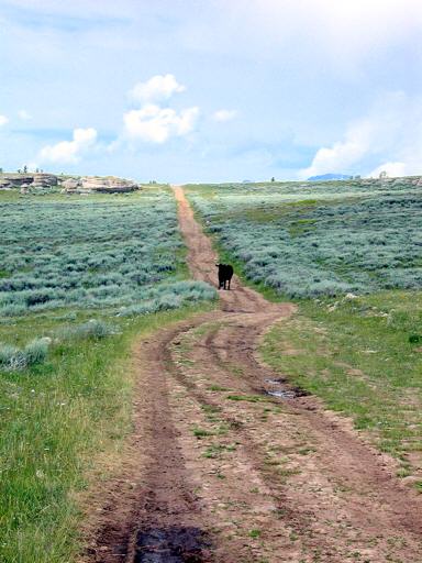 Brokenback_Mountain_cM