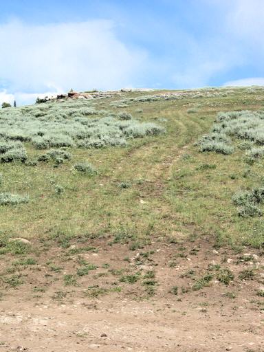 Brokenback_Mountain_gM