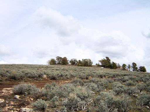 Brokenback_Mountain_iM