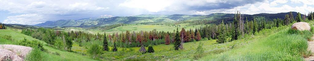 McMurtrys_Brokeback_Area_iL