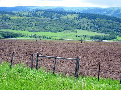 McMurtrys_Brokeback_Area_oM