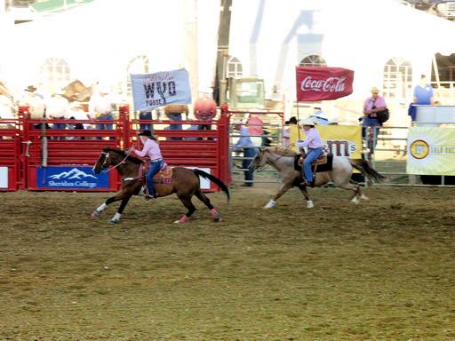 Sheridan_Rodeo_gM