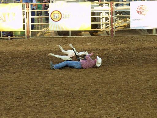 Sheridan_Rodeo_nM