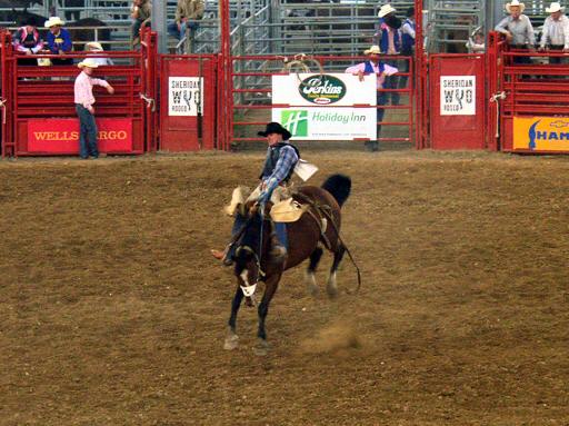 Sheridan_Rodeo_qM