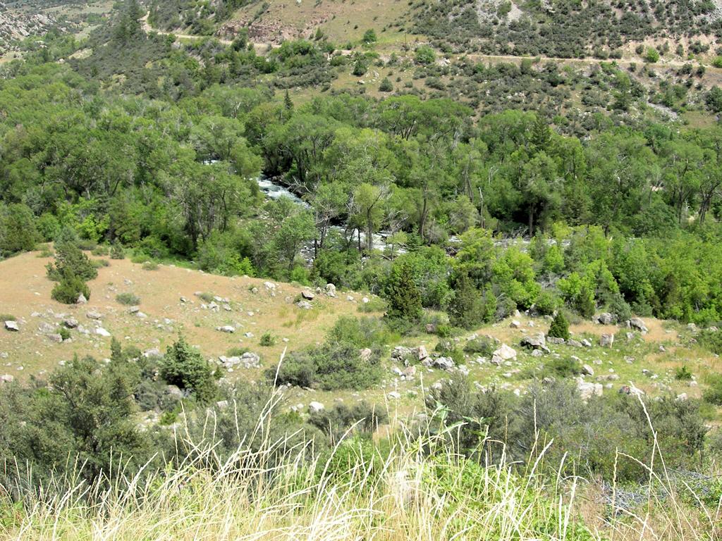 Entering Wyoming Ten Sleep Canyon Photo Ten_Sleep_Canyon_gM