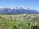 The_Tetons_lS