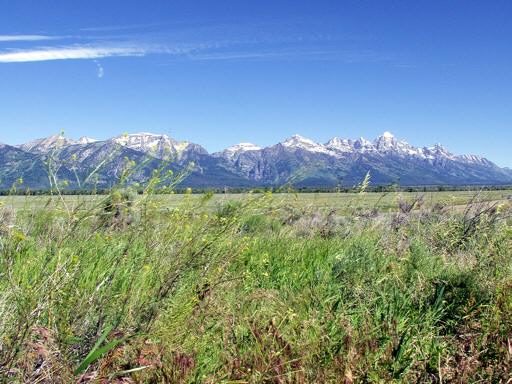 The_Tetons_mM