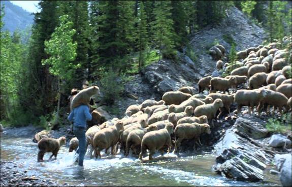 Creek Crossing